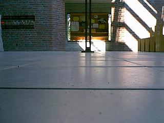 Individualbeton-Platten im 33er Raster