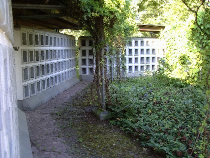 Erg&auml;nzende Dachabdeckung in Stahl-Holz-Konstruktion