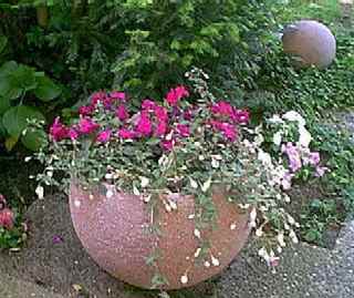 Kugel-Pflanzgef&auml;ss- D=50cm - SE-Beton-Sandstein